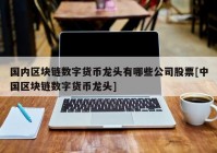 国内区块链数字货币龙头有哪些公司股票[中国区块链数字货币龙头]